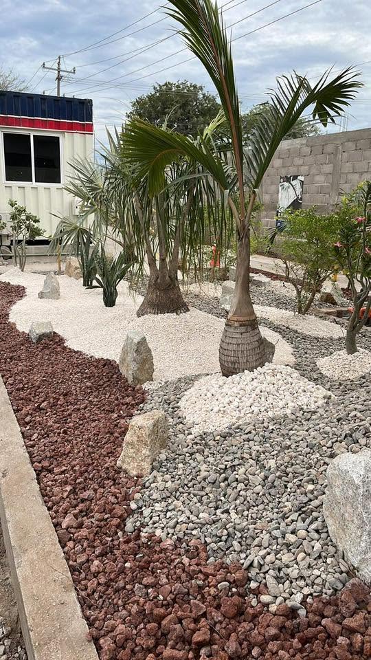 Jardín xerófilo con palmas botella, piedra volcánica roja y grava blanca, obra de El Edén