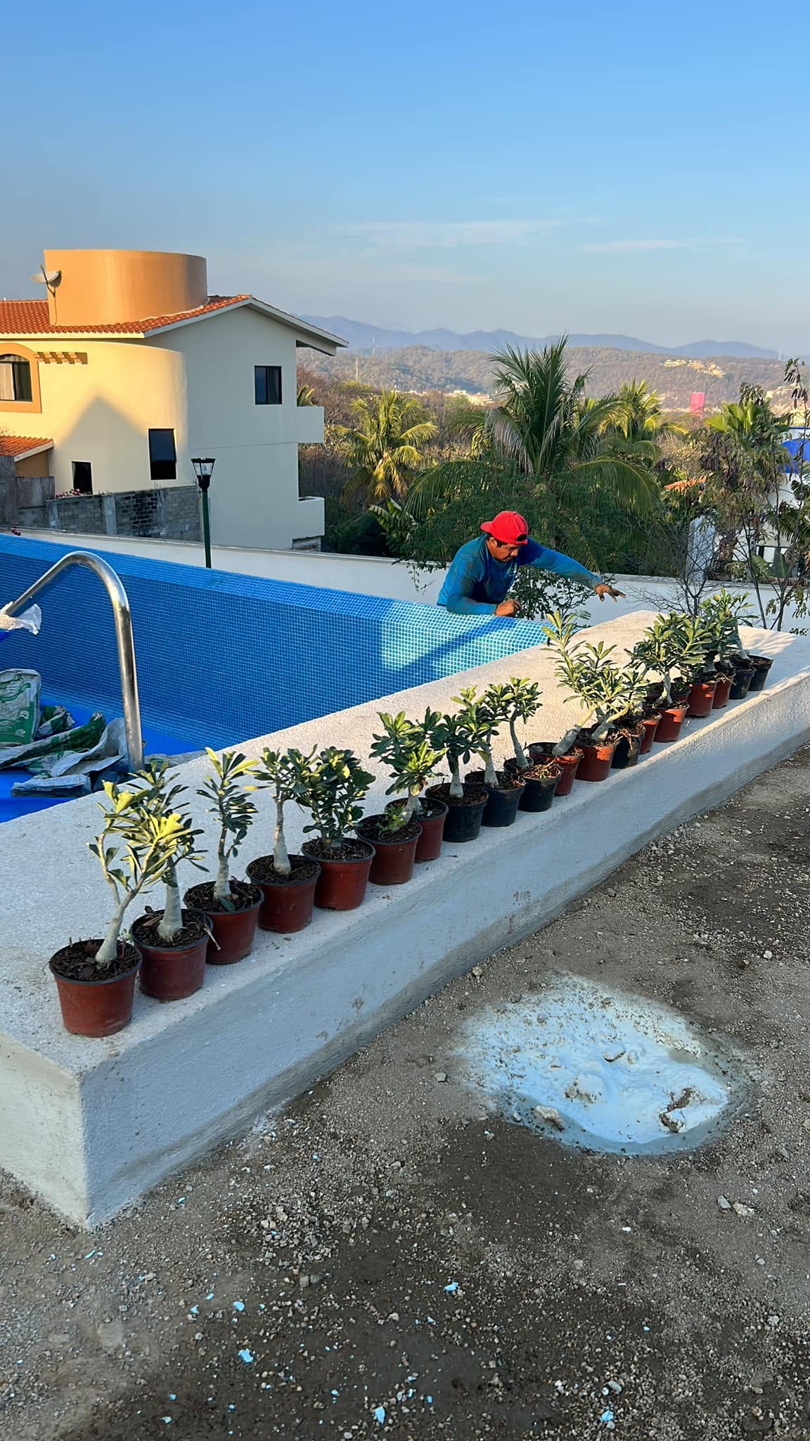 Plantas en maceta alineadas junto a una alberca con vista al cerro, proyecto de El Edén